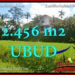 INVESTASI PROPERTI, TANAH di UBUD BALI DIJUAL TJUB654