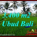 DIJUAL TANAH MURAH di UBUD BALI 34 Are di Ubud Pejeng