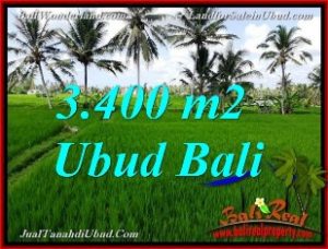 DIJUAL TANAH MURAH di UBUD BALI 34 Are di Ubud Pejeng