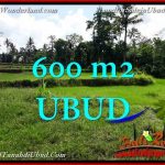 JUAL TANAH MURAH di UBUD BALI TJUB657