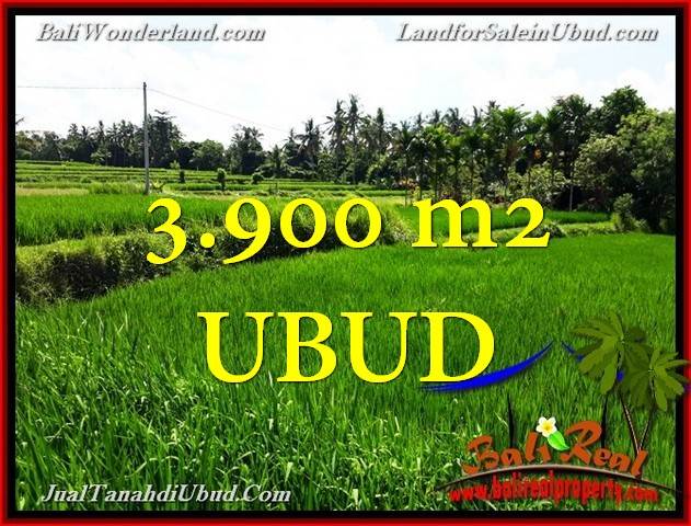 JUAL MURAH TANAH di UBUD 39 Are di Ubud Pejeng