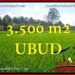 TANAH DIJUAL di UBUD TJUB660