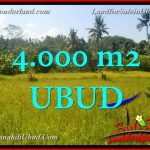 TANAH di UBUD BALI DIJUAL MURAH Untuk INVESTASI TJUB661