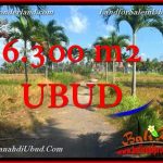 INVESTASI PROPERTI, JUAL MURAH TANAH di UBUD TJUB662