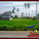 TANAH DIJUAL MURAH di UBUD 616 m2 di Sentral Ubud