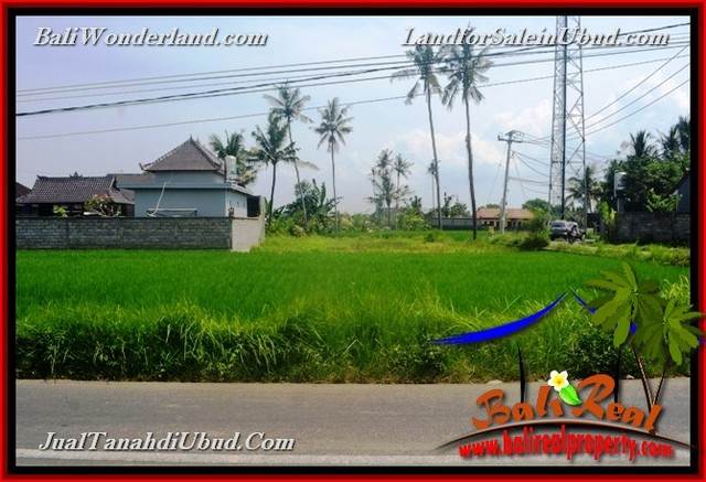 TANAH DIJUAL MURAH di UBUD 616 m2 di Sentral Ubud