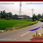 TANAH DIJUAL MURAH di UBUD 616 m2 di Sentral Ubud