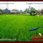 TANAH DIJUAL MURAH di UBUD 616 m2 di Sentral Ubud