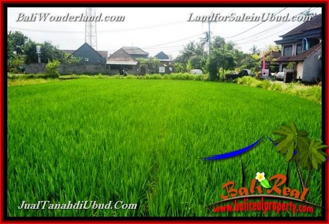 TANAH DIJUAL MURAH di UBUD 616 m2 di Sentral Ubud