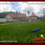 INVESTASI PROPERTI, TANAH MURAH DIJUAL di UBUD BALI TJUB651