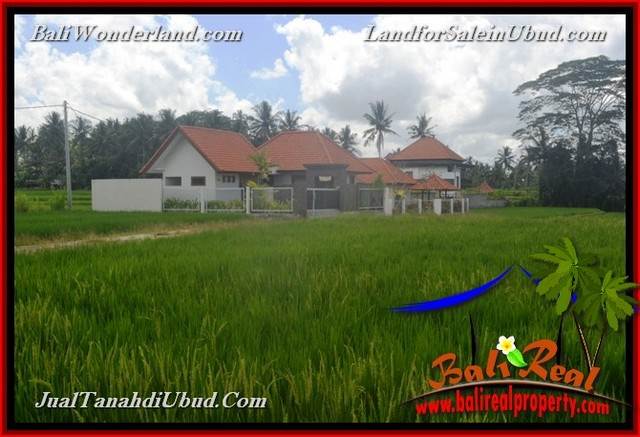 INVESTASI PROPERTI, TANAH MURAH DIJUAL di UBUD BALI TJUB651