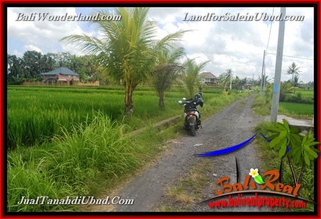 INVESTASI PROPERTI, TANAH MURAH DIJUAL di UBUD BALI TJUB651