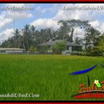 INVESTASI PROPERTI, TANAH MURAH DIJUAL di UBUD BALI TJUB651