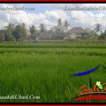 INVESTASI PROPERTI, TANAH MURAH DIJUAL di UBUD BALI TJUB651