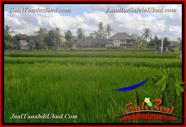 INVESTASI PROPERTI, TANAH MURAH DIJUAL di UBUD BALI TJUB651