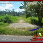 INVESTASI PROPERTY, TANAH DIJUAL MURAH di UBUD BALI TJUB652