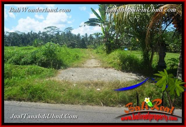 INVESTASI PROPERTY, TANAH DIJUAL MURAH di UBUD BALI TJUB652