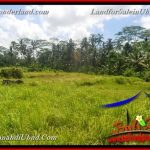 INVESTASI PROPERTY, TANAH DIJUAL MURAH di UBUD BALI TJUB652