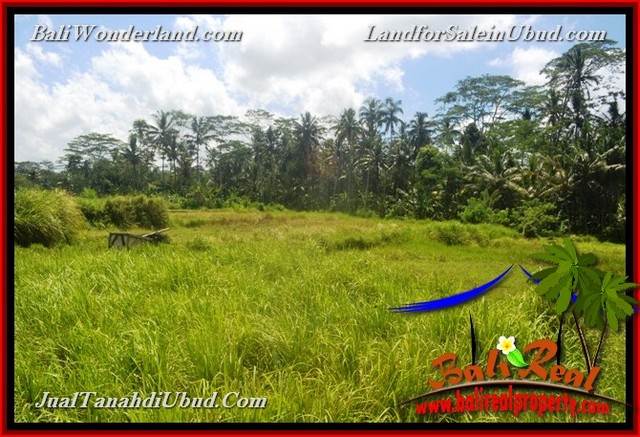 INVESTASI PROPERTY, TANAH DIJUAL MURAH di UBUD BALI TJUB652