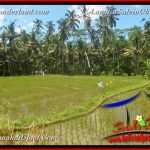 INVESTASI PROPERTY, TANAH DIJUAL MURAH di UBUD BALI TJUB652