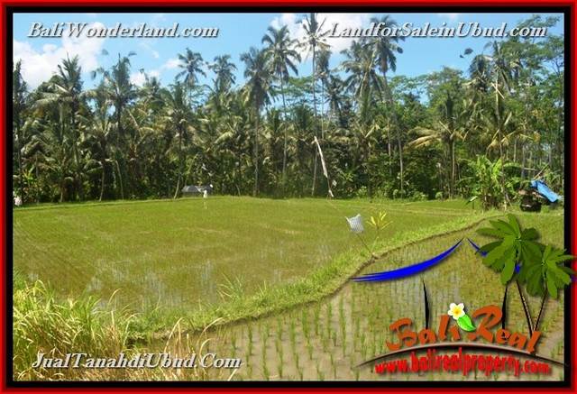 INVESTASI PROPERTY, TANAH DIJUAL MURAH di UBUD BALI TJUB652