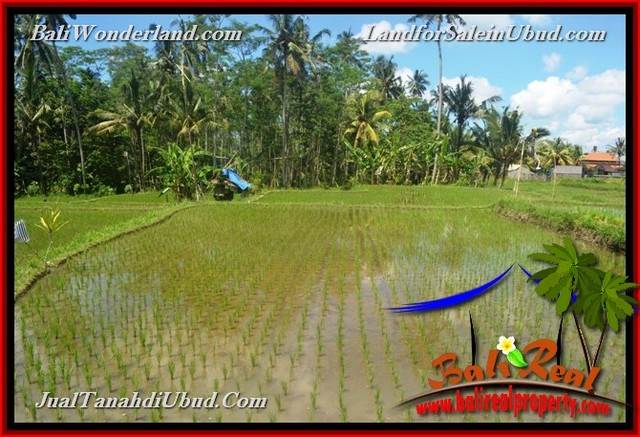 INVESTASI PROPERTY, TANAH DIJUAL MURAH di UBUD BALI TJUB652