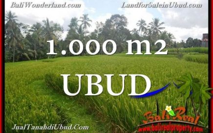 INVESTASI PROPERTY, TANAH di UBUD DIJUAL MURAH TJUB653