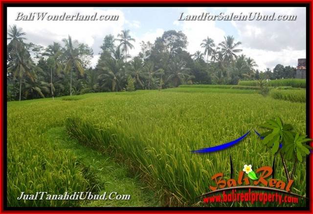 INVESTASI PROPERTY, TANAH di UBUD DIJUAL MURAH TJUB653