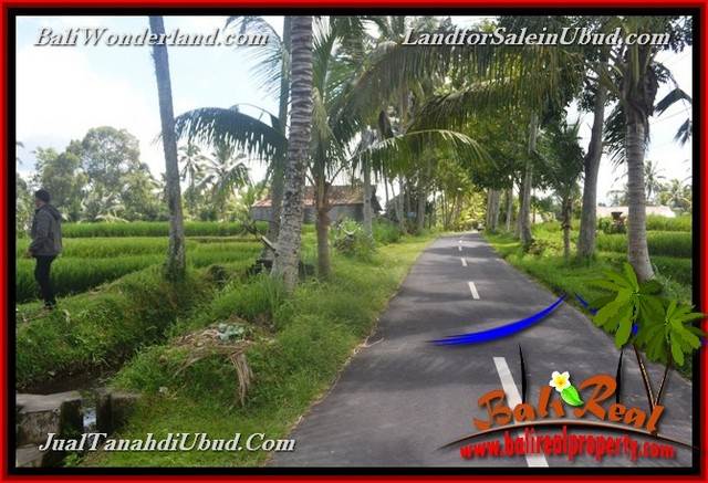 INVESTASI PROPERTY, TANAH di UBUD DIJUAL MURAH TJUB653