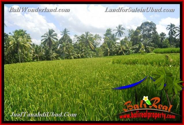 INVESTASI PROPERTY, TANAH di UBUD DIJUAL MURAH TJUB653