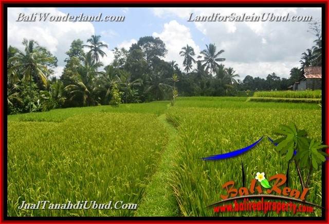 INVESTASI PROPERTY, TANAH di UBUD DIJUAL MURAH TJUB653