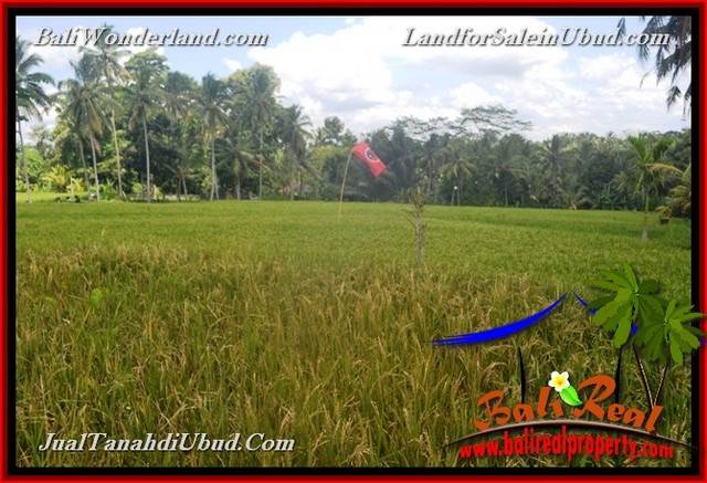 INVESTASI PROPERTY, TANAH di UBUD DIJUAL MURAH TJUB653