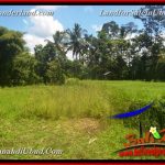 DIJUAL TANAH MURAH di UBUD TJUB654