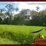 DIJUAL TANAH MURAH di UBUD TJUB654