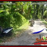 DIJUAL TANAH MURAH di UBUD TJUB654