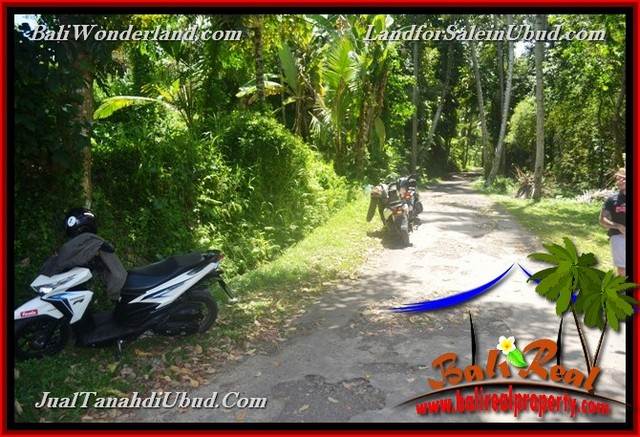 DIJUAL TANAH MURAH di UBUD TJUB654