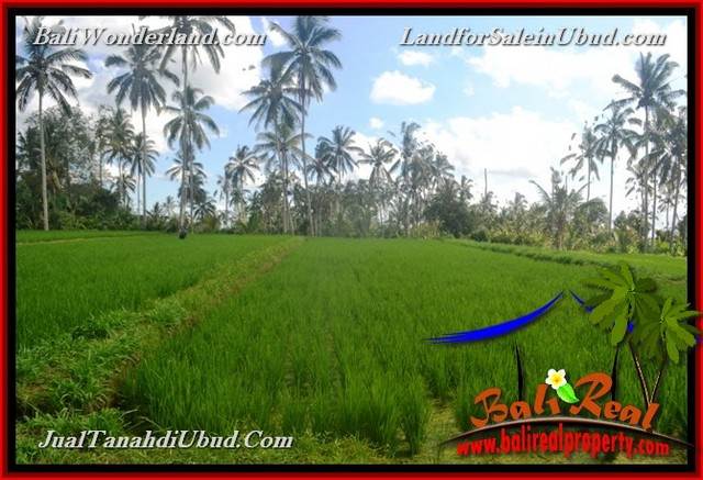 TANAH MURAH DIJUAL di UBUD BALI Untuk INVESTASI TJUB655