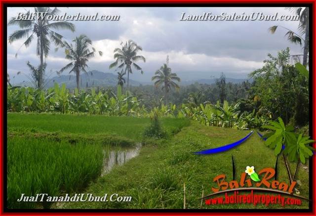 TANAH MURAH DIJUAL di UBUD BALI Untuk INVESTASI TJUB655