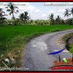 JUAL MURAH TANAH di UBUD BALI Untuk INVESTASI TJUB656