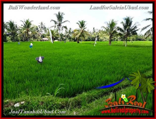 JUAL MURAH TANAH di UBUD BALI Untuk INVESTASI TJUB656