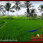 JUAL MURAH TANAH di UBUD BALI Untuk INVESTASI TJUB656