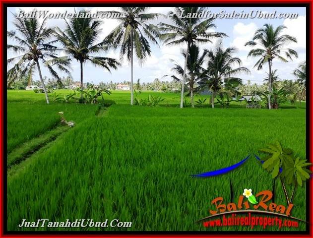 JUAL MURAH TANAH di UBUD BALI Untuk INVESTASI TJUB656