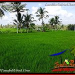 JUAL MURAH TANAH di UBUD BALI Untuk INVESTASI TJUB656