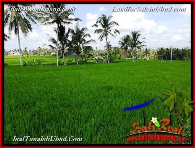 JUAL MURAH TANAH di UBUD BALI Untuk INVESTASI TJUB656