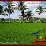 JUAL MURAH TANAH di UBUD BALI Untuk INVESTASI TJUB656