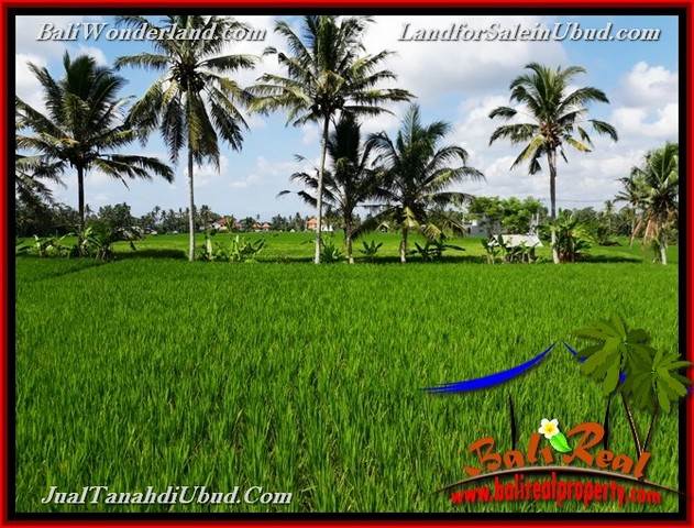 JUAL MURAH TANAH di UBUD BALI Untuk INVESTASI TJUB656