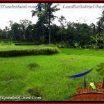 INVESTASI PROPERTY, TANAH di UBUD DIJUAL MURAH TJUB657