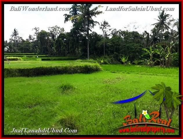 INVESTASI PROPERTY, TANAH di UBUD DIJUAL MURAH TJUB657