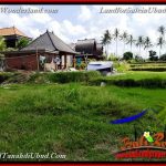 INVESTASI PROPERTY, TANAH di UBUD DIJUAL MURAH TJUB657