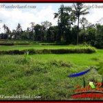 INVESTASI PROPERTY, TANAH di UBUD DIJUAL MURAH TJUB657